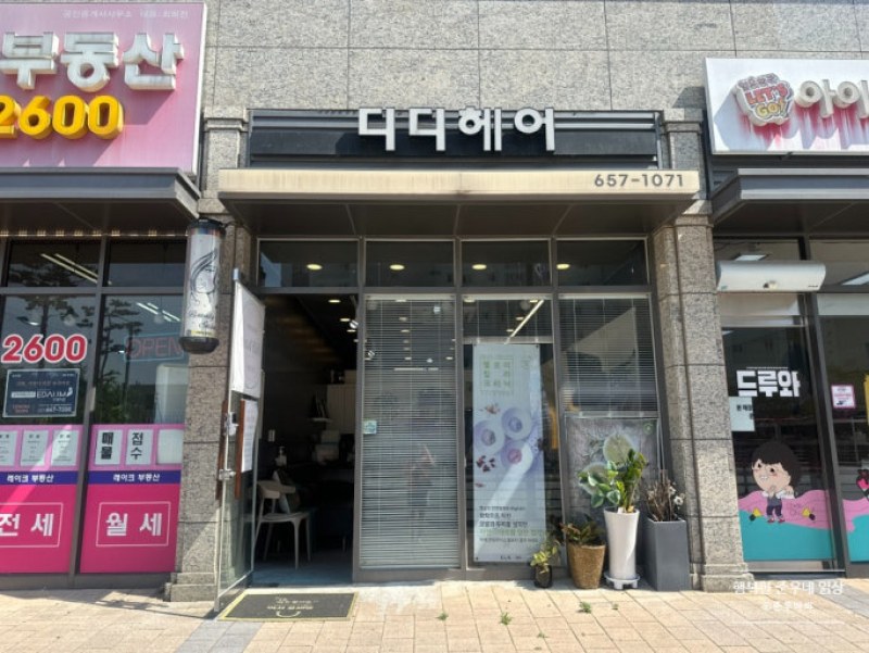 디디헤어
